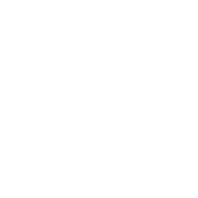 ייעוץ טכנולוגי